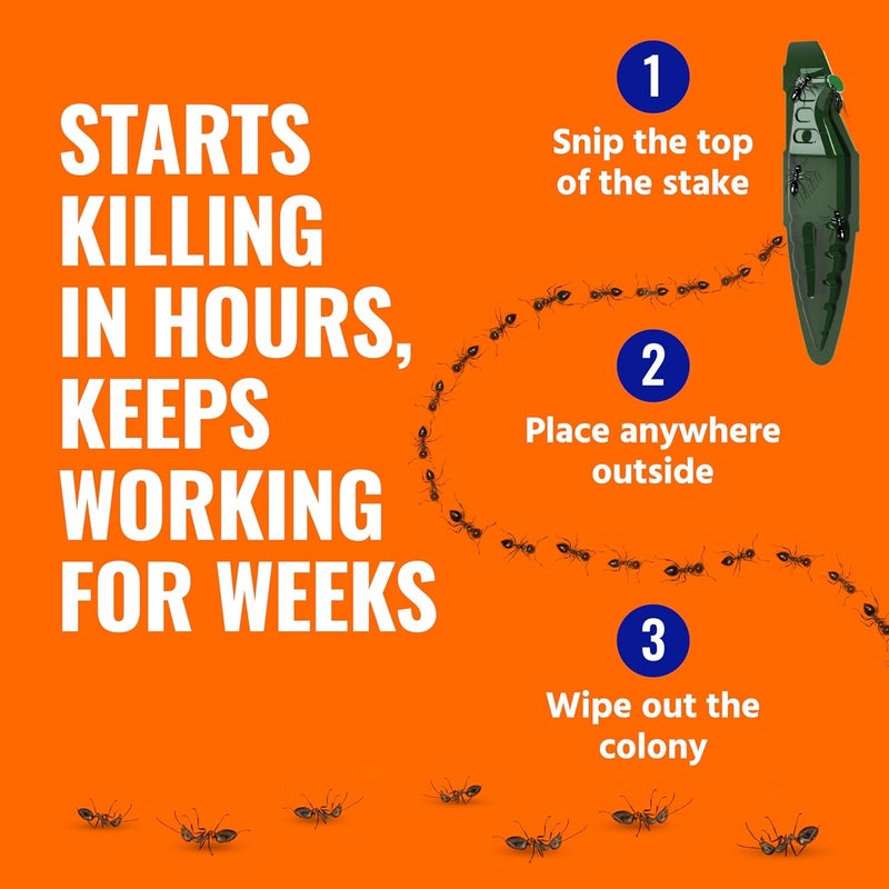 Terro طُعوم سائلة للنمل - T1813B - مصائد نمل جاهزة للاستخدام في الهواء الطلق، تقتل النمل المنزلي، 12 وتد - Image 5